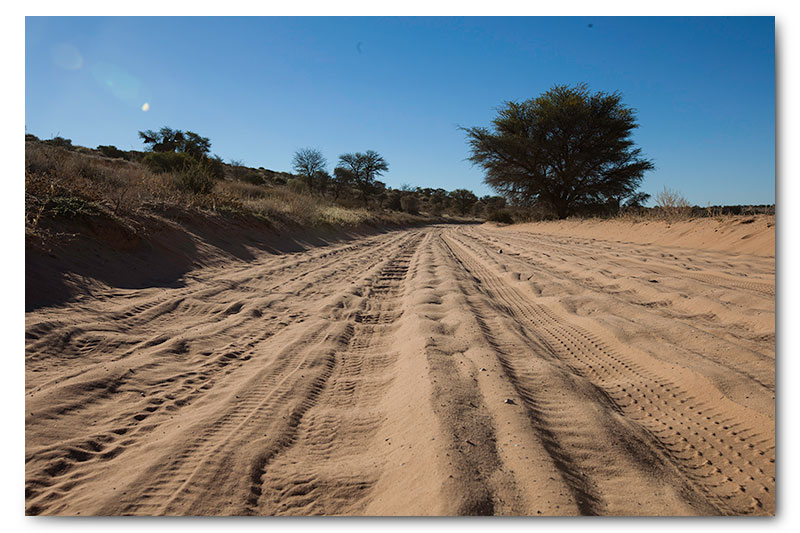 kgalagadi roads corrugations