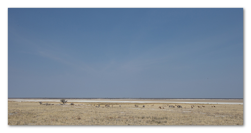 Peter Dawson Photography - etosha vista namibia