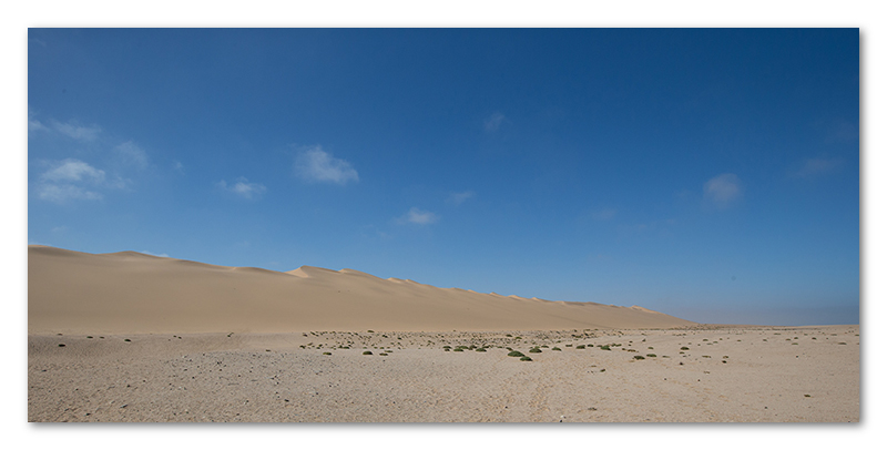 Peter Dawson Photography - namibian desert