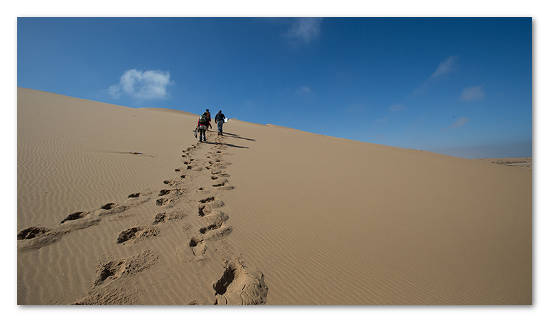 Peter Dawson Photography - Namibian sand dunes Walvisbaai