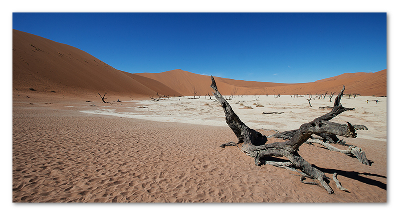 Peter Dawson Photography - Sossus vlei sand dunes