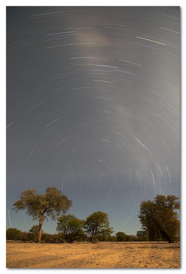 Namibian-Starscape